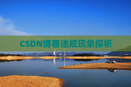 CSDN博客违规现象探析